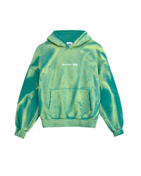 Sun Faded Green Icon Hoodie